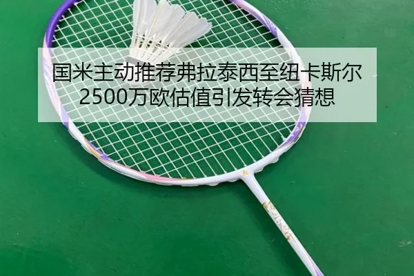 国米主动推荐弗拉泰西至纽卡斯尔 2500万欧估值引发转会猜想（Sports）